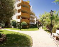 Brukt bolig - Leilighet - Orihuela Costa - Punta Prima