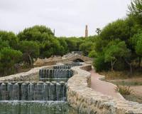 Brukt bolig - Leilighet - Torrevieja - Torrelamata - La Mata
