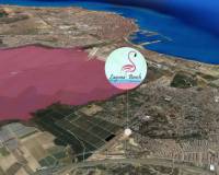 Nybygg - Villa - Torrevieja - Los Balcones - Los Altos del Edén
